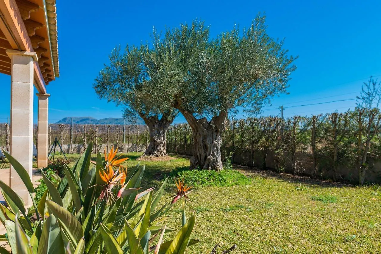 Casa di campagna Yourhouse Son Gallina Quiet, Private Villa In The North Of Mallorca Sa Pobla